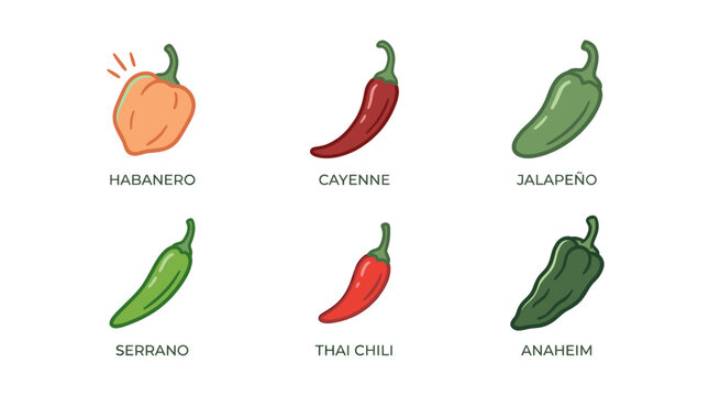 Hot  pepper varieties set in clean flat food illustration style