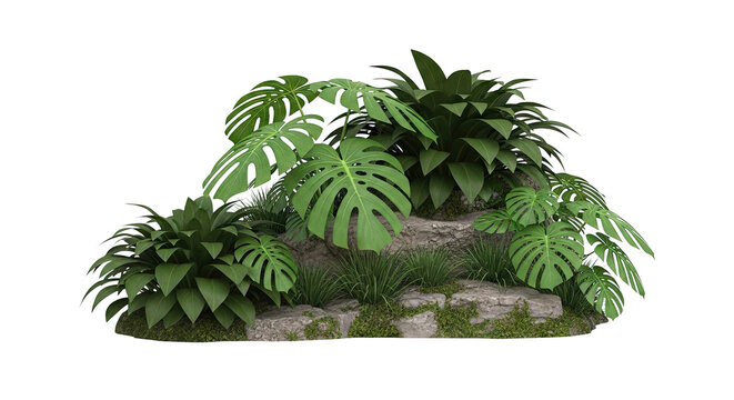 Lush Tropical Plants Growing on Rocks