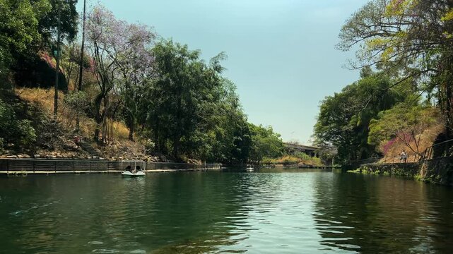 A peaceful scene of visitors enjoying a pedal boat ride on a serene Italian lake, framed by dense forest and bright summer sunlight. Perfect for travel and leisure content.