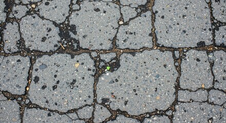 Obraz premium Cracked Asphalt Surface Showing Damage and Weathering.
