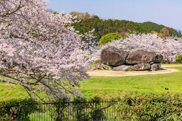 春の石舞台古墳　奈良県明日香村にて © photop5