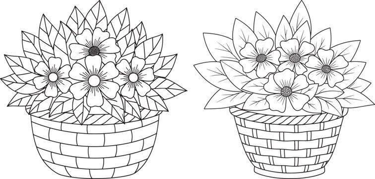 Two baskets filled with blooming flowers black and white background clipping path blooming decoration arrangement container outdoors illustration clipping botanical fragrant