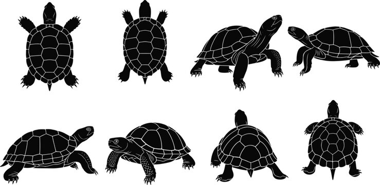Turtle silhouettes vector set, black reptile animals in multiple poses, detailed shell patterns isolated on white background for wildlife design
