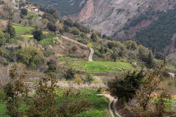 Obraz premium Views of mountains, countryside, blooming gardens and grazing sheep