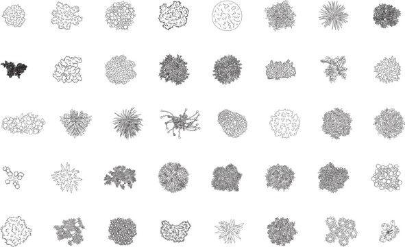 Set of trees, various plants, shrubs, top view, floor plan, architectural plan, landscape design, symbol, icon, customizable stroke, vector