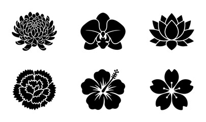 Minimalist black flower icons set, floral silhouette vector collection of 6 botanical symbols, lotus and orchid blossom graphics for logo design © Farhana
