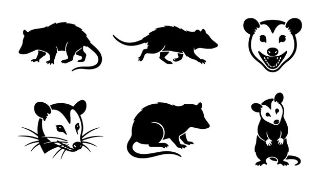 Opossum silhouette vector set, 6 black marsupial icons in various poses, wild opossum animal head and body graphics for nature design