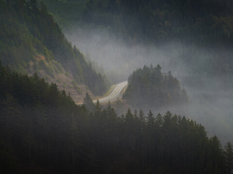Aerial view of the Oregon Coast Highway winding through dense evergreen forests shrouded in thick morning fog in Florence, Oregon, United States.