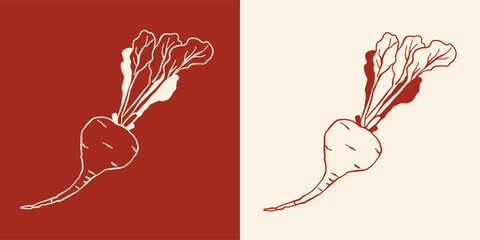 Cartoon vector illustration of a hand drawn radish with leafy tops, ideal for healthy eating, organic farms and kitchen art . Line art , doodle style . © irina