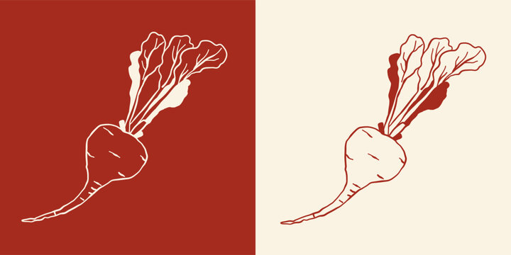 Cartoon vector illustration of a hand drawn radish with leafy tops, ideal for healthy eating, organic farms and kitchen art . Line art , doodle style .
