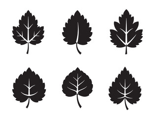 Obraz premium Six stylish maple leaf silhouettes vector illustration with varying orientations