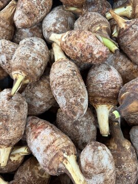Taro roots with visible stems and brown husks piled together, showcasing texture and pattern