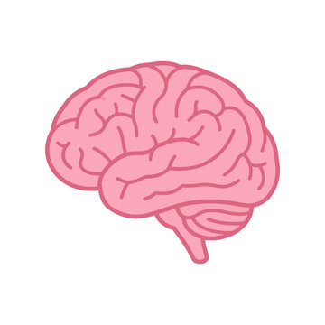 Simple pink brain icon with soft folds, modern flat vector medical illustration