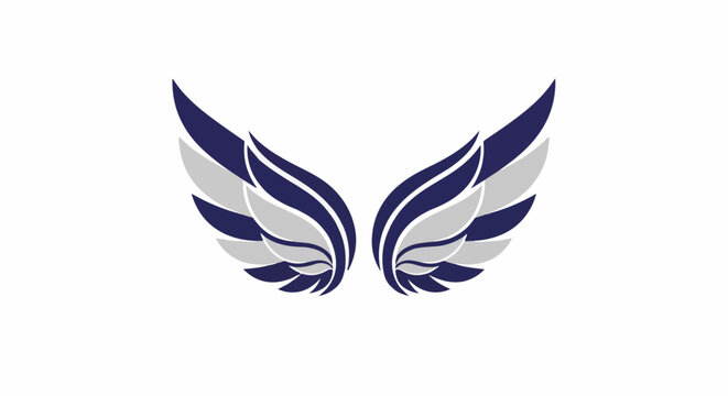 Abstract symmetrical navy and silver wings design
