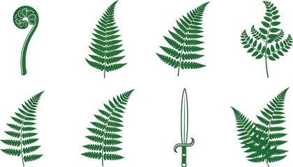 Collection of green fern leaves and a sword botanical illustrations in flat design style for nature and history concepts isolated on white background © Ali
