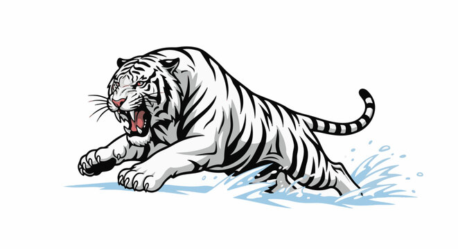 Aggressive white tiger emerging from splashing water with teeth bared