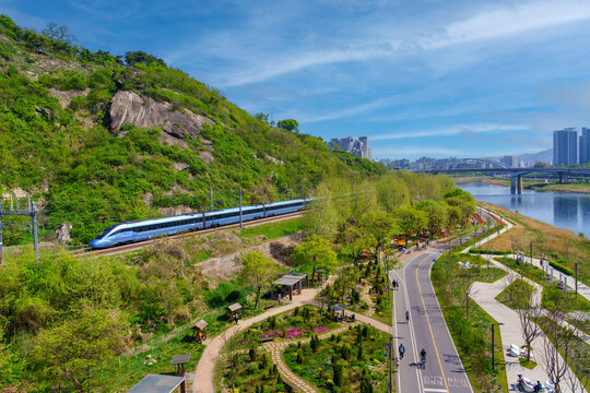 LOST IN TULIPS GARDEN UNDER Eungbongsan Mountain & Hangang River April 18, 2026