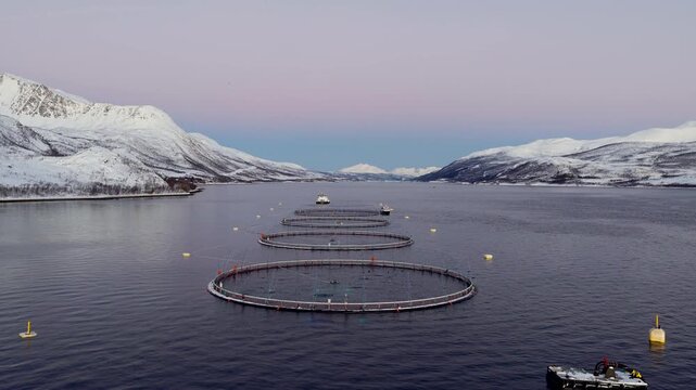 Round pens of salmon farm during polar night with snowy mountains, aerial