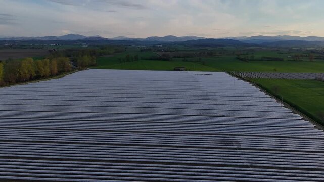 Large scale low tunnel cultivation system in Pianura Padana near Piacenza Emilia Romagna Italy with continuous plastic row covers over crops and Northern Apennines on horizon, drone forward glide shot