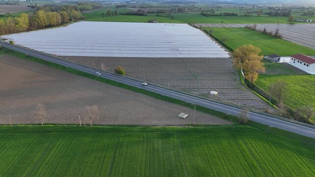 Mixed cultivation system in Pianura Padana near Alseno Piacenza Emilia Romagna Italy with large plastic mulched field and adjacent low tunnel covered rows along SS9 Via Emilia, static aerial shot