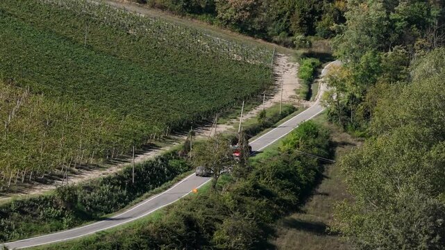 Vineyard in Val d Arda Colli Piacentini near Piacenza Emilia Romagna Italy with rows following hillside contours and rural road crossing agricultural terrain, drone pullback shot