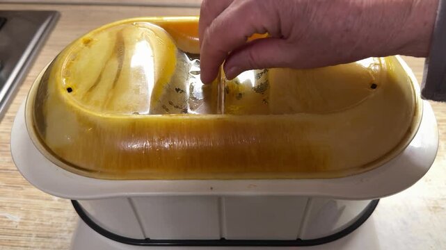 Close-up steamed chicken fillet in steamer, woman opens lid to check garlic seasoning on fresh poultry inside electric double.