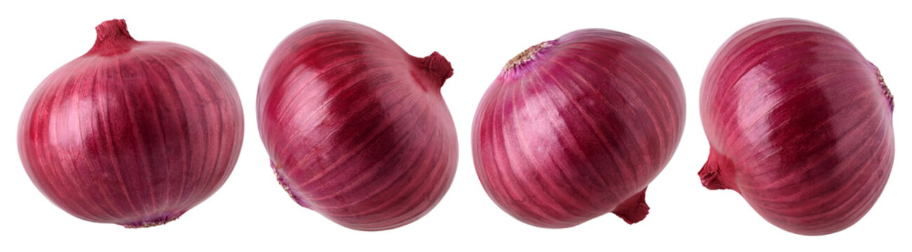 Red onion isolated, transparent PNG, PNG format, Collection, Set
