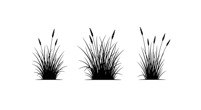 Reeds set with black silhouettes and cattail spikes, grassy wetland plants featuring cattails, grass, nature with botanical and illustration elements