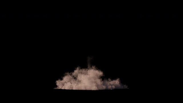 Dust eXplosion, Bulding Colapse