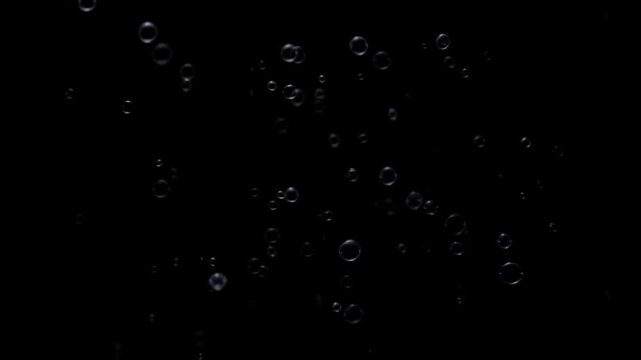 Transparent soap bubbles floating against a solid black background for creative composite design