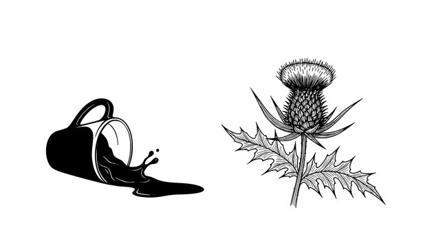 Spilled drink silhouette with detailed thistle flower representing Scottish symbolism in minimal vector style