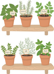 Fototapeta premium Illustration of two wooden shelves with fresh potted herbs. Culinary gardening with basil, rosemary, parsley, oregano, dill and mint in pots