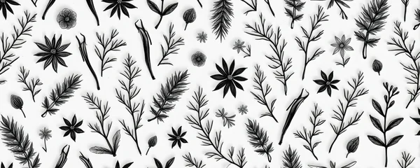 Black, white floral botanical illustration with spice elements. Abstract pattern for design, cosmetic packaging, fabric. Elegant plant branches, flowers create timeless aesthetic suitable for various © Vadym