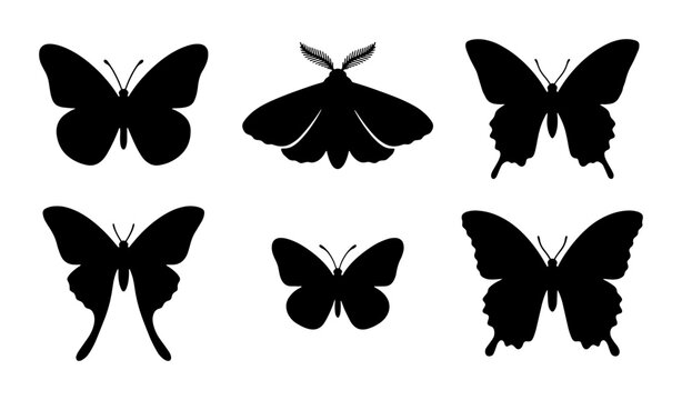Black butterfly silhouette collection, set of 6 decorative moth and butterfly icons, minimalist insect vector shapes for logo design and nature branding