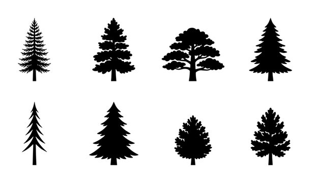 Pine tree silhouettes collection, set of 8 evergreen conifer vector icons, black forest fir and spruce shapes for outdoor landscape design