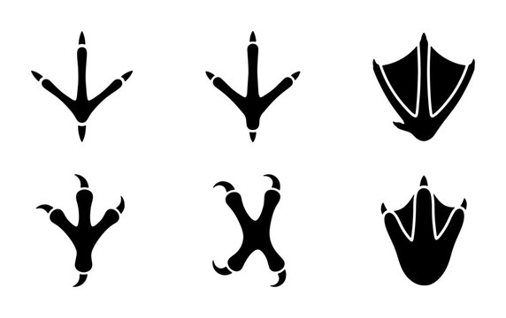 Bird footprint vector icon set, black bird tracks and poultry paw prints, 6 avian claw and webbed foot silhouettes for nature tracking and wildlife design