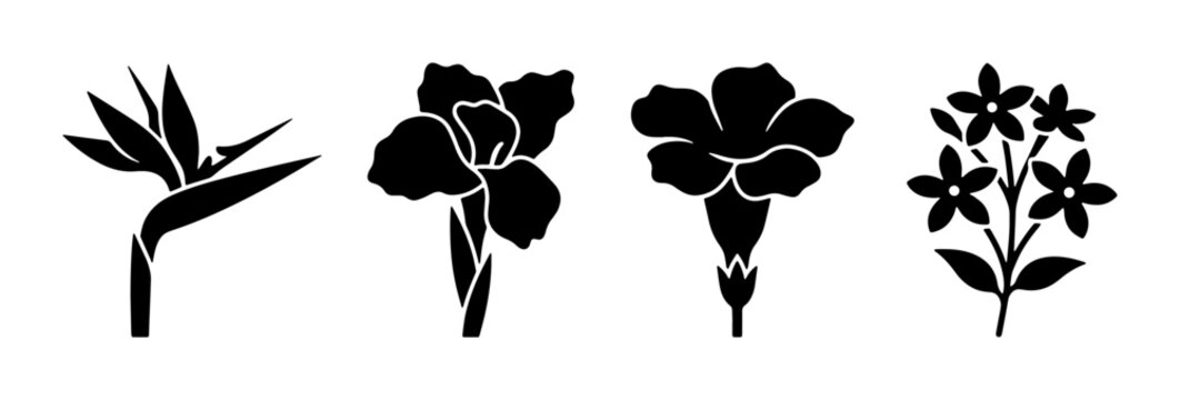 Minimalist tropical flower silhouettes, set of 4 black floral icons including bird of paradise and hibiscus, botanical vector elements for logo design