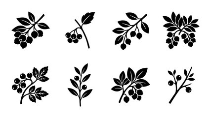 Minimalist berry branch icons set, black silhouette wild berries and forest leaves, botanical vector collection for organic food packaging © Mahfuz