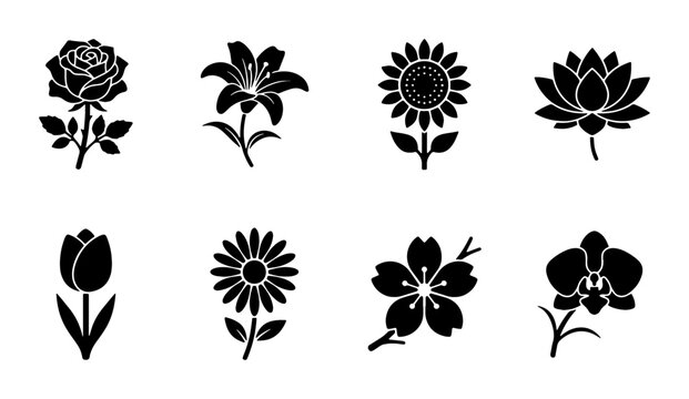 Minimalist black flower icons set, 8 floral vector silhouettes including rose and lily, botanical garden blossom symbols for logo design