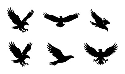 Fototapeta premium Eagle silhouette vector set, flying hawk and falcon bird icons, black predatory eagle shapes on white background, 6 wild bird of prey elements