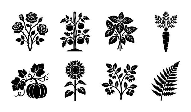 Vintage botanical garden icons set, black silhouette plant and vegetable illustrations, 8 organic farm and floral vector elements for logo design