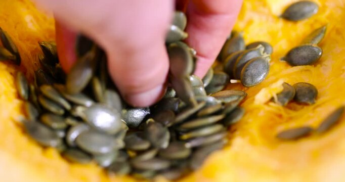 pumpkin seeds and cut in half pumpkin with juicy flesh and lots of seeds without husks, sliced pumpkin with baking pulp and healthy and nutritious seeds