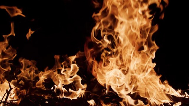 Fire flames rolling upward. Fire burning organic movement. Fire glowing vivid light. Fire texture for designers.