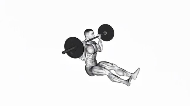 Barbell Z Press Muscle Activation Animation Shoulder and Core Workout Loop