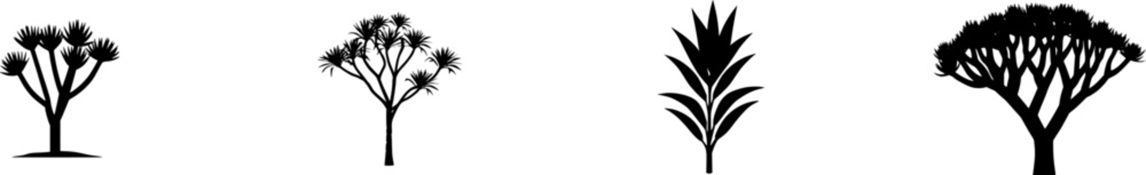 A stunning photorealistic image showcases a solitary Giant Dracaena, its spiky rosettes of leaves forming an architectural marvel atop a robust trunk, perfectly isolated against a pristine white