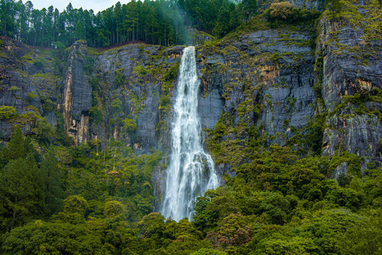 The tallest waterfall in Sri Lanka. Bambarakanda Falls.