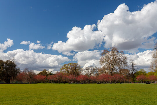 Parks and green spaces in London