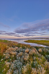 Fototapeta premium Landscape, sky and plants with ocean in nature for travel destination, eco tourism and scenery. Space, grass and wetland in natural environment, vacation getaway and holiday location with seascape