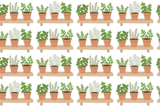 Seamless pattern with potted herbs on wooden shelves. Background with fresh basil, rosemary, parsley, oregano, dill and mint. 