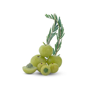 fresh phyllanthus emblica isolated on a white background